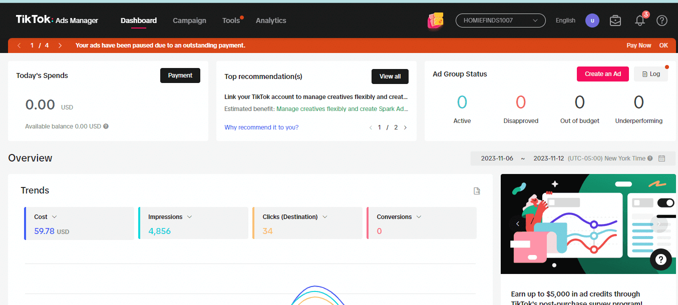 TikTok Ads Manager dashboard showing campaign spend, impressions, clicks and conversions overview